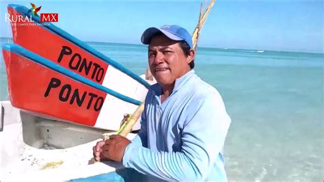 Así Está La Situación De La Pesca En Yucatán Youtube