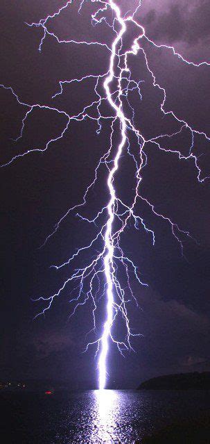Gorgeous Lightning I