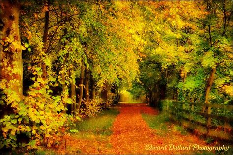 Fall In Ireland Kilkenny City Ireland A Link To My Gall Flickr