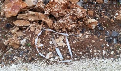בצומת תפוח בשומרון וניסה לחטוף. סוכל פיגוע בצומת תפוח וכמה שווה השיער של ג@@@ון לנון? 5 ...