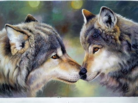 Sweet Gray Wolf Couple Portrait High Quality 100