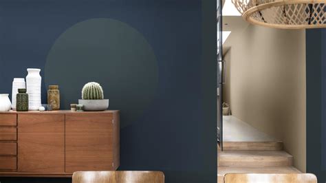 Eclectic Trends Earth Color Basically Black Dulux Colour Year 2021