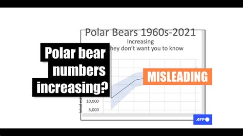 Graph On Polar Bear Population Uses Unreliable Data Fact Check