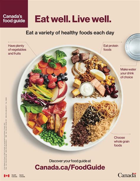 ° sometimes foods are foods that are high in fat, salt and. Opinion: Canada's Food Guide a new dish, with a dash of ...