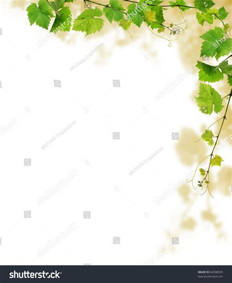 Best 49+ Grapevine PowerPoint Background on HipWallpaper | Grapevine Arbor Wallpaper, Grapevine ...