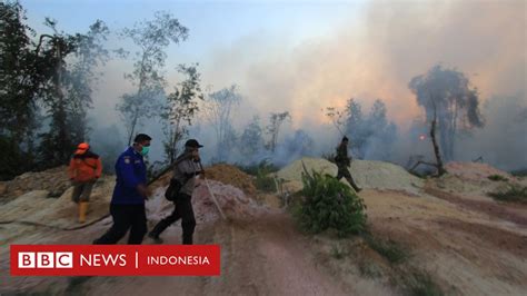 Indonesia Membara Kebakaran Hutan Di Indonesia Memasu Vrogue Co