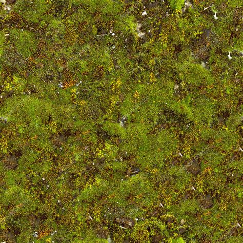 Moss Seamless Texture — Stock Photo © Tashatuvango 22588527