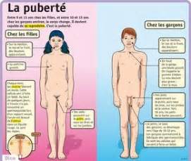 Best Pubert Et Sexualit Images On Pinterest Adolescence