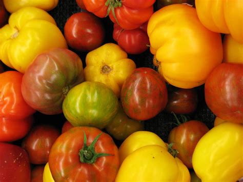 25 Bi Colored And Striped Heirloom Tomato Varieties