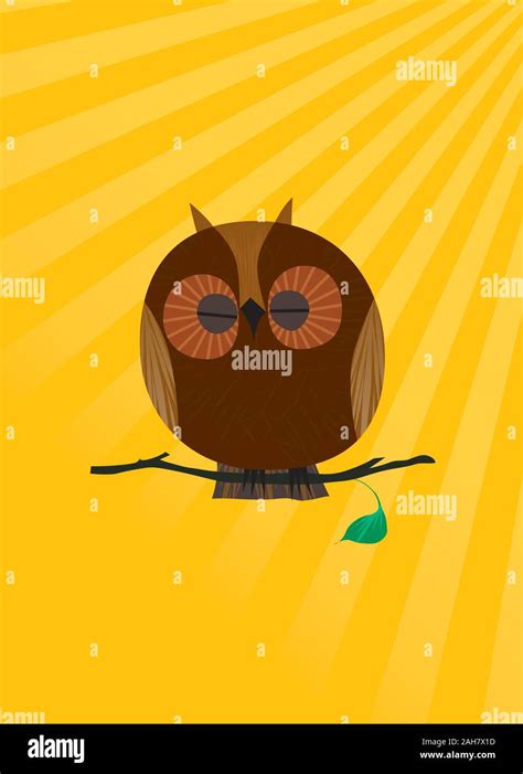 Owl Sleeping In Sunshine Stock Vector Image And Art Alamy