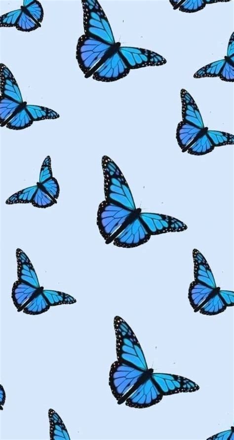 Butterfly Aesthetic Drawing