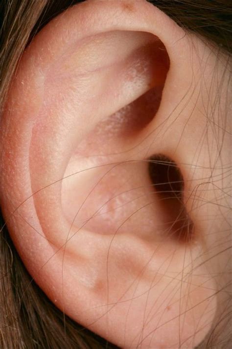 Previous Tennitus Louder After Ear Infection Tinnitus How To Stop
