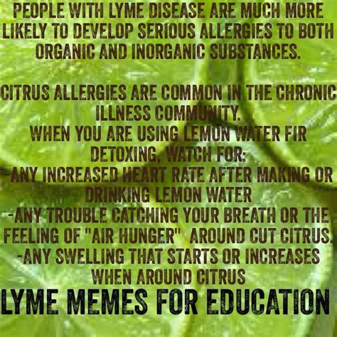 citrus allergy lyme disease lyme memes for education