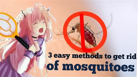 3 Easy Methods To Get Rid Of Mosquitoes At Home Diy Natural Youtube