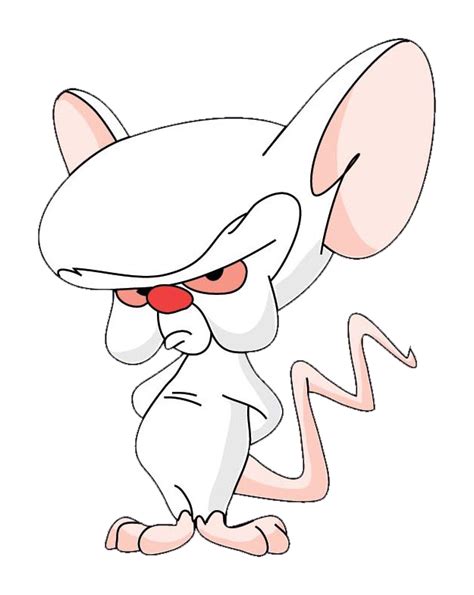 WB 01 Pinky and the Brain by The-Blacklisted on DeviantArt png image