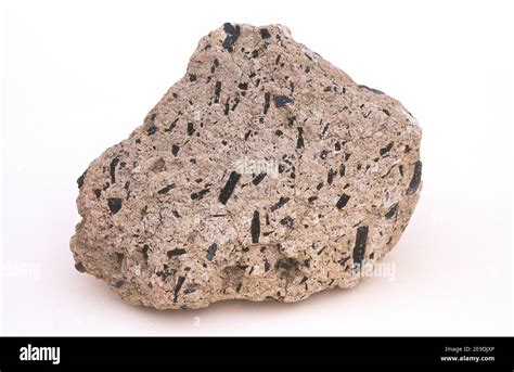 Andesite Is A Volcanic Rock Of Intermediate Composition This Sample