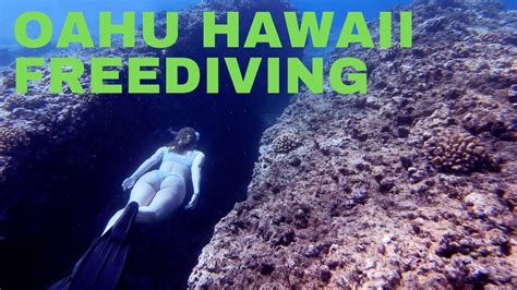 Oahu Snorkeling At Sharks Cove Hawaii Youtube
