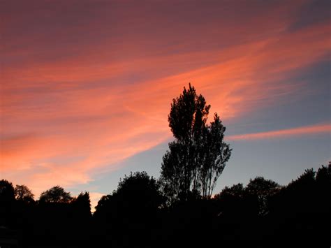 Wallpaper Tree Sunset Sky Clouds Evening Hd Widescreen High