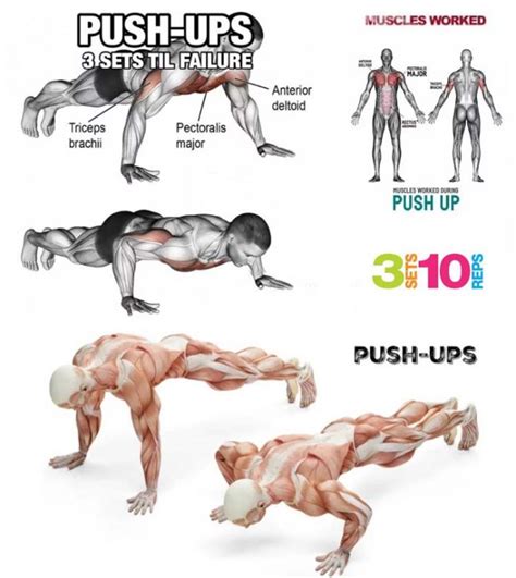 How To Do Perfect Pushup Decline And Incline Exercises Guide