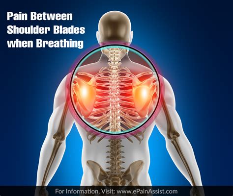 Pain Between Shoulder Blades When Breathing