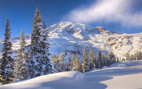 46 1920x1080 Bing Wallpaper Winter Wallpapersafari