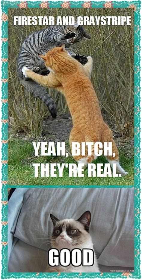Discover more posts about warrior cats memes. Warrior Cat Memes | Warrior cats and grumpy cats meme by XXspiritwolf2000XX on DeviantArt ...