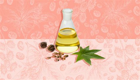 7 Amazing Castor Oil Uses In Your Beauty Routine Castor Oil Uses