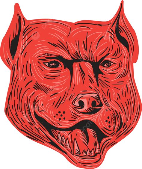 Pitbull Dog Mongrel Head Drawing Illustration White Background Angry
