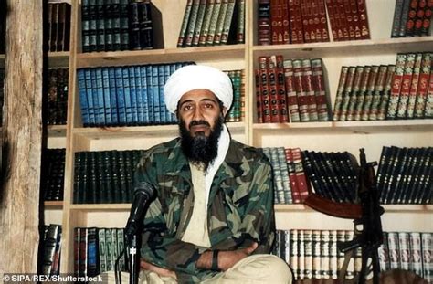Osama Bin Laden May Have Hidden Encrypted Messages In Porn Videos To
