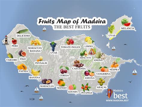 Fruits Of Madeira Island