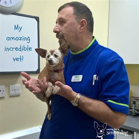 Eating too fast even good food can cause a bad reaction if it's eaten too fast. Why Does My Dog Throw Up - Caring for a Senior Dog