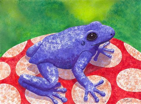 Blue Frog By Catherine G Mcelroy