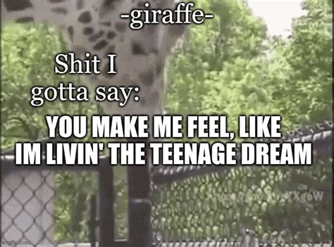 Giraffe Imgflip