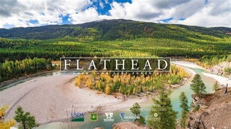 Flathead National Forest Abakcus Video