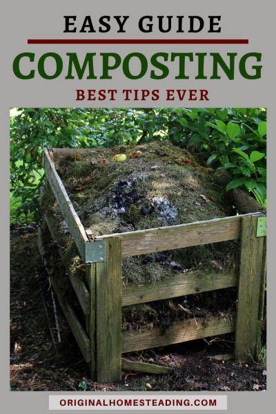 The Beginners Guide To Composting The Easy Way How To Start