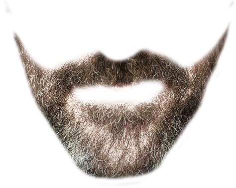 Beard Png Transparent Image Download Size 597x476px