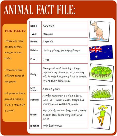 animal fact file learnenglish kids british council