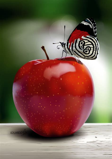 And now that you know how to properly prepare an apple, it's time to bake with it. APPLE AND BUTTERFLY - Corel Discovery Center
