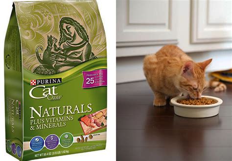 Shop purina one at fetch, the online pet store. FREE Sample Purina Cat Food