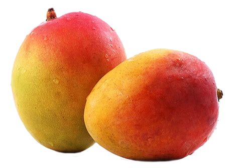 Health Check Mango