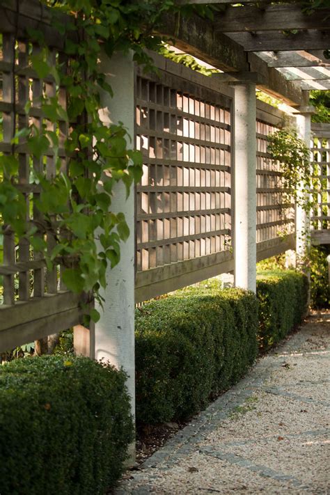 Looking for a good deal on vine wall? Architects' Secrets: 10 Ideas to Create Privacy in the ...
