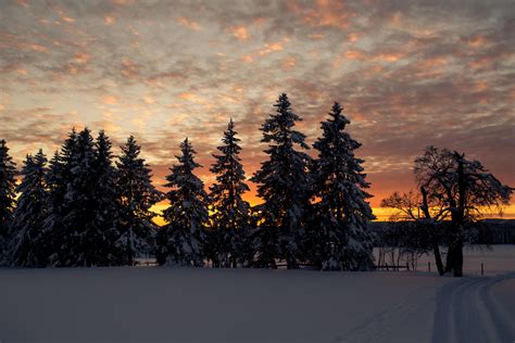 Norwegian Winter Landscape Norway
