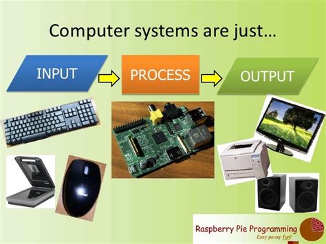 Computer Systems Input Process Output