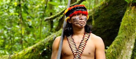Indigene Sind Die Besten Regenwaldschützer Rettet Den Regenwald Ev