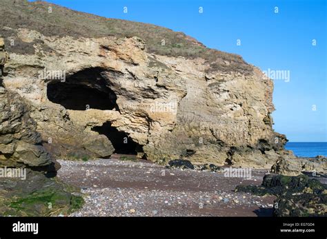 Sea Caves At Blackhall Rocks County Durham Coast England Uk Stock