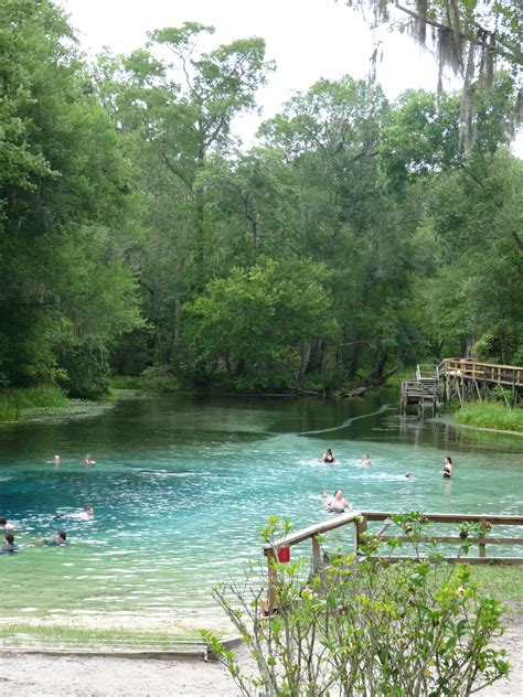Blue Springs Alachua Florida North Of Gainesville Fl North Central