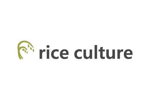 Workshops 2024 – Rice Culture