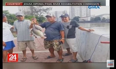 Fisherfolks Catch Tilapia In Pasig River Gma News Online