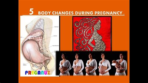 BODY CHANGES DURING PREGNANCY YouTube