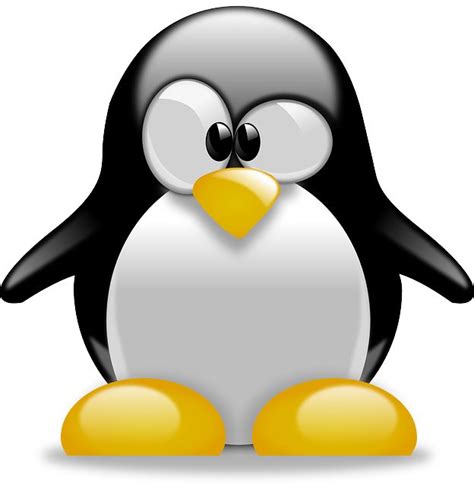 Free Image On Pixabay Tux Penguin Animal Cute Linux Penguins